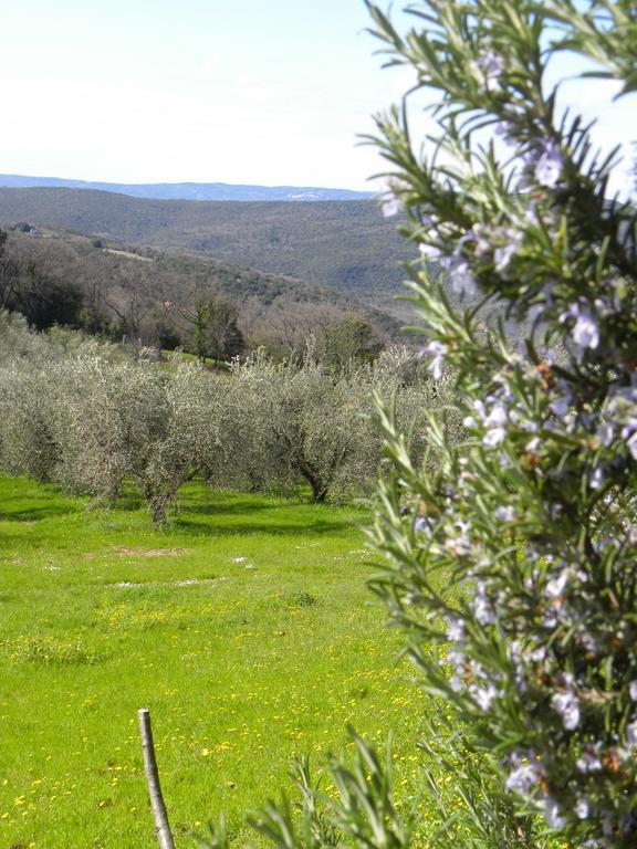 Agriristoro Podere S. Andrea Massa Marittima Exterior foto